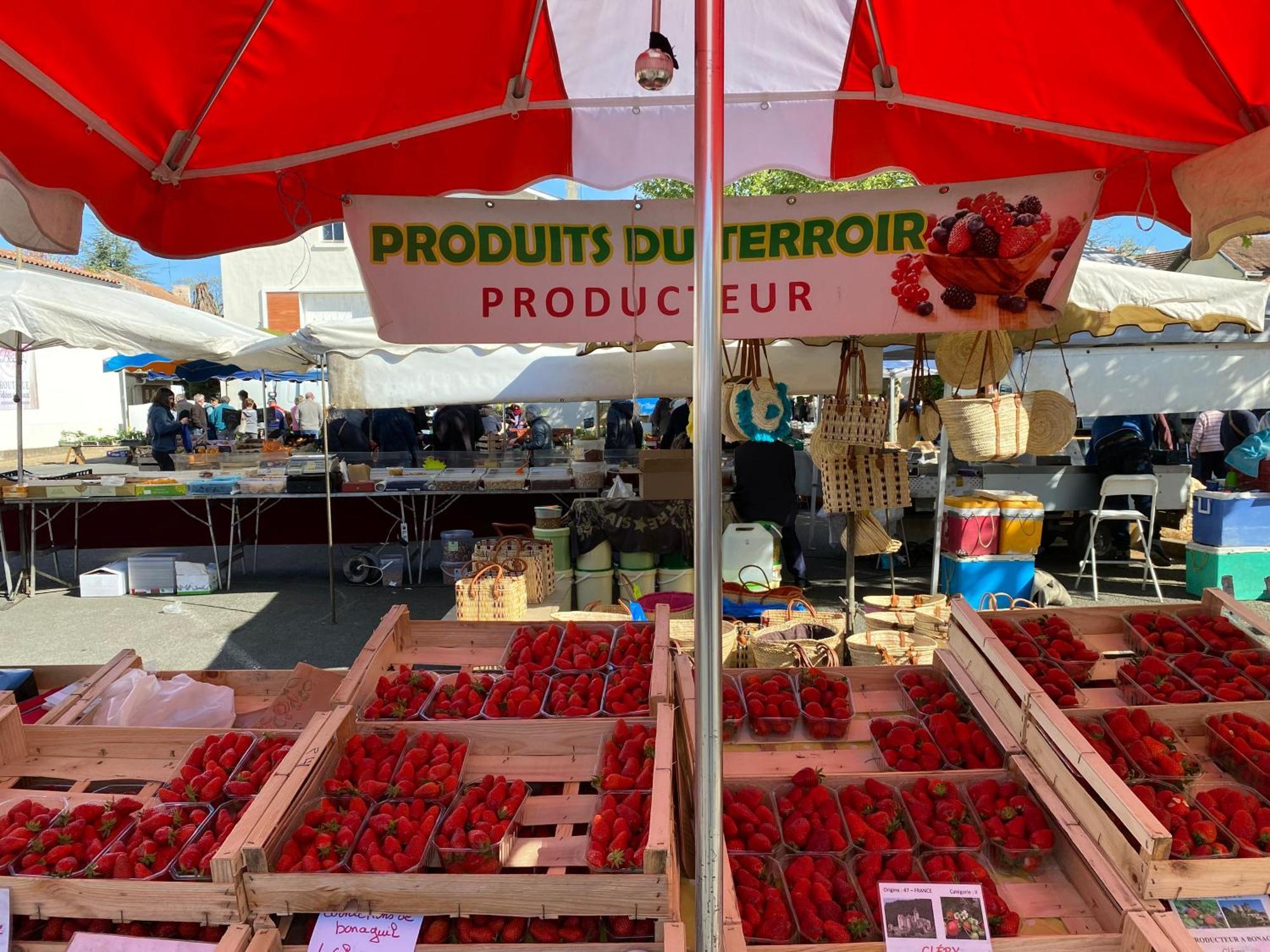 La Maison Du Parc Saint-Vite 外观 照片